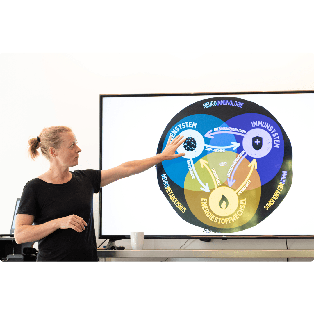 Regenerationsmedizin — Nervensystem, Immunsystem und Stoffwechsel